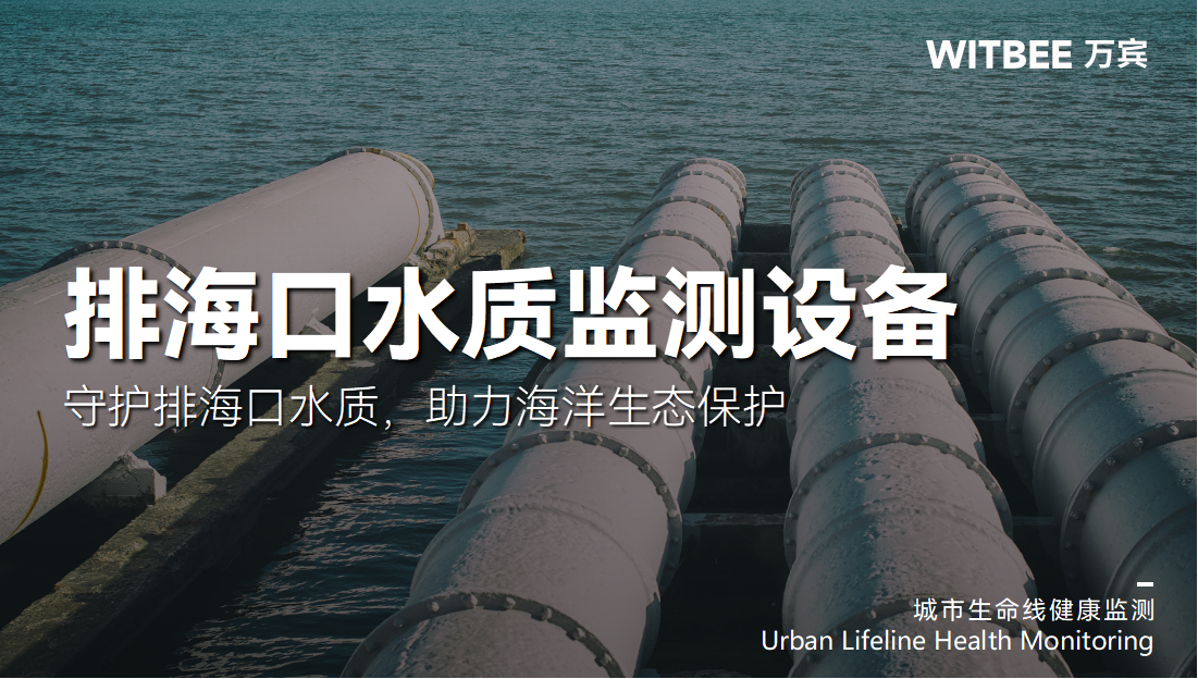 智能水質監測儀：守護排?？谒|，助力海洋生態保護(圖1)