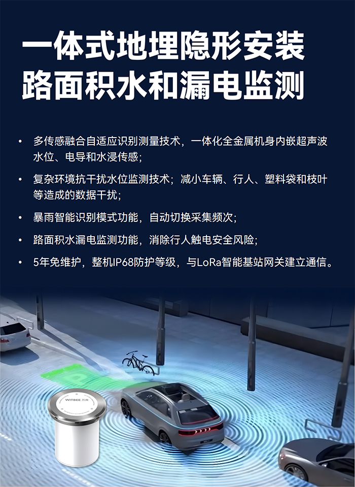 地埋式積水監(jiān)測(cè)儀  EN200-C(圖2)